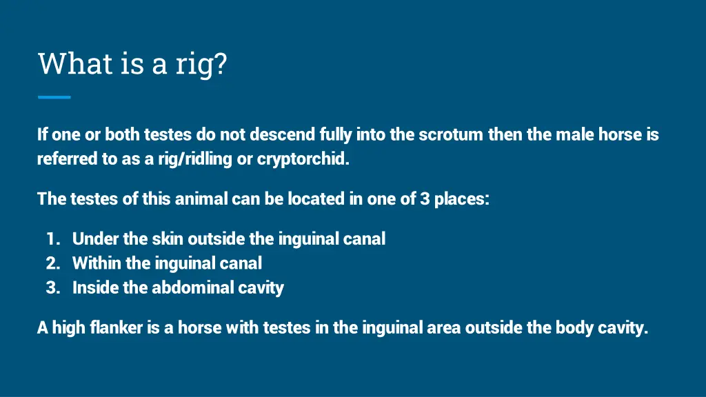 what is a rig