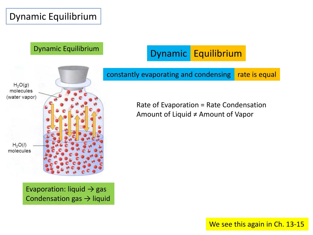 dynamic equilibrium