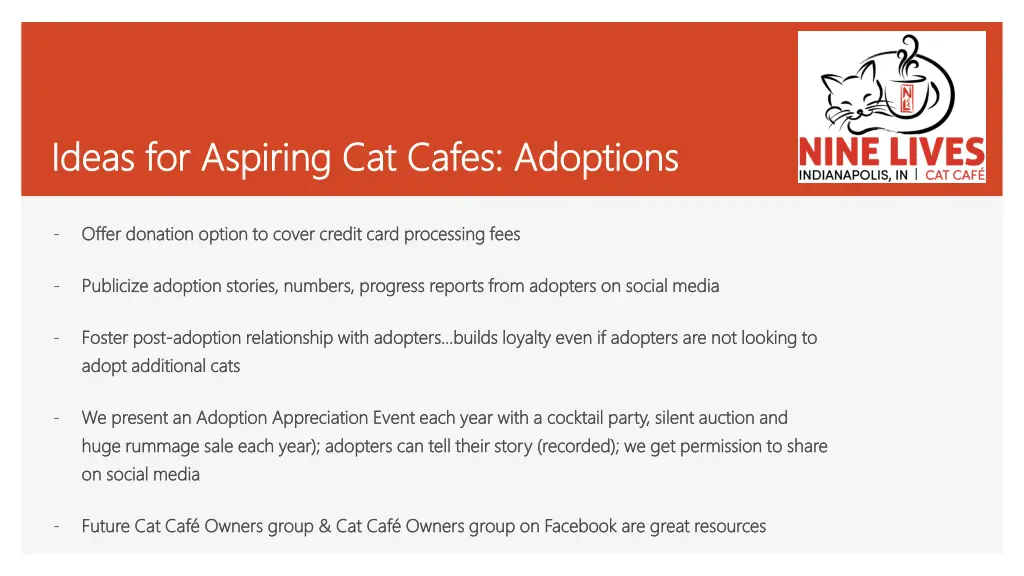 ideas for aspiring cat cafes adoptions ideas