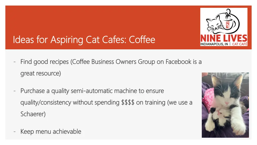 ideas for aspiring cat cafes coffee ideas