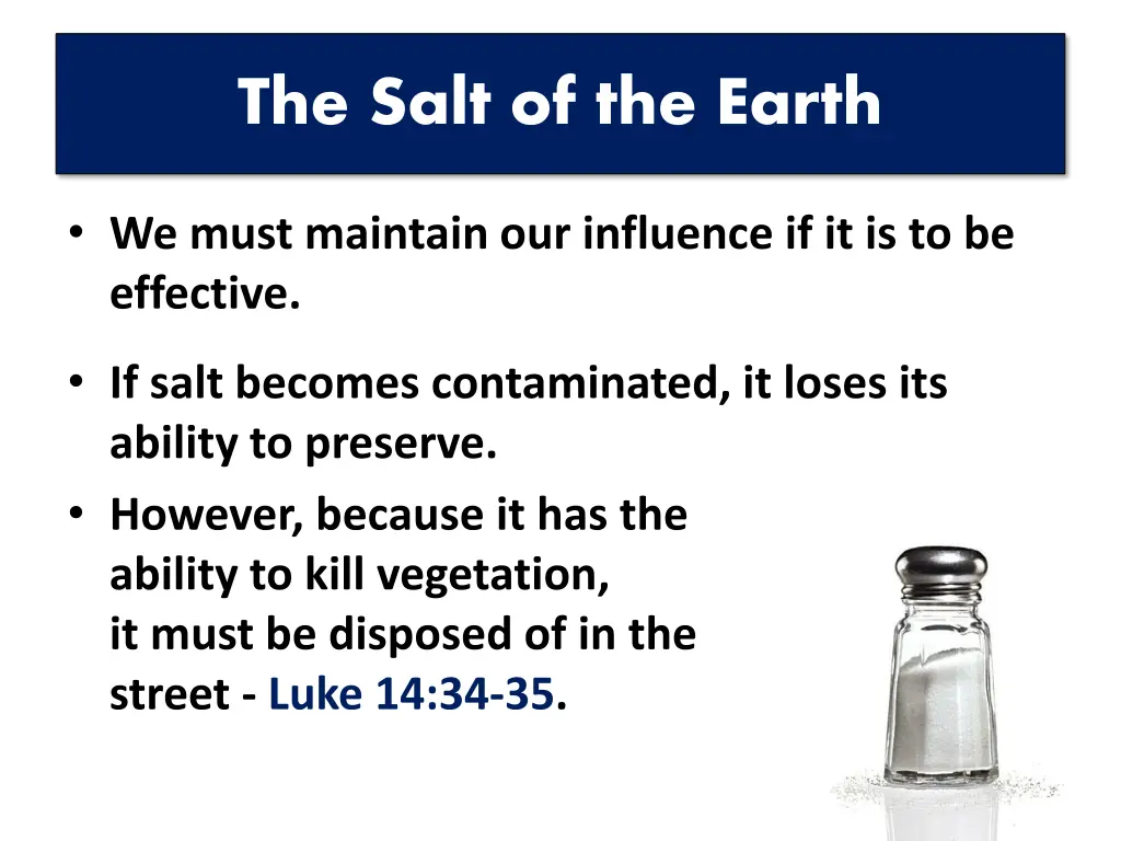 the salt of the earth 1