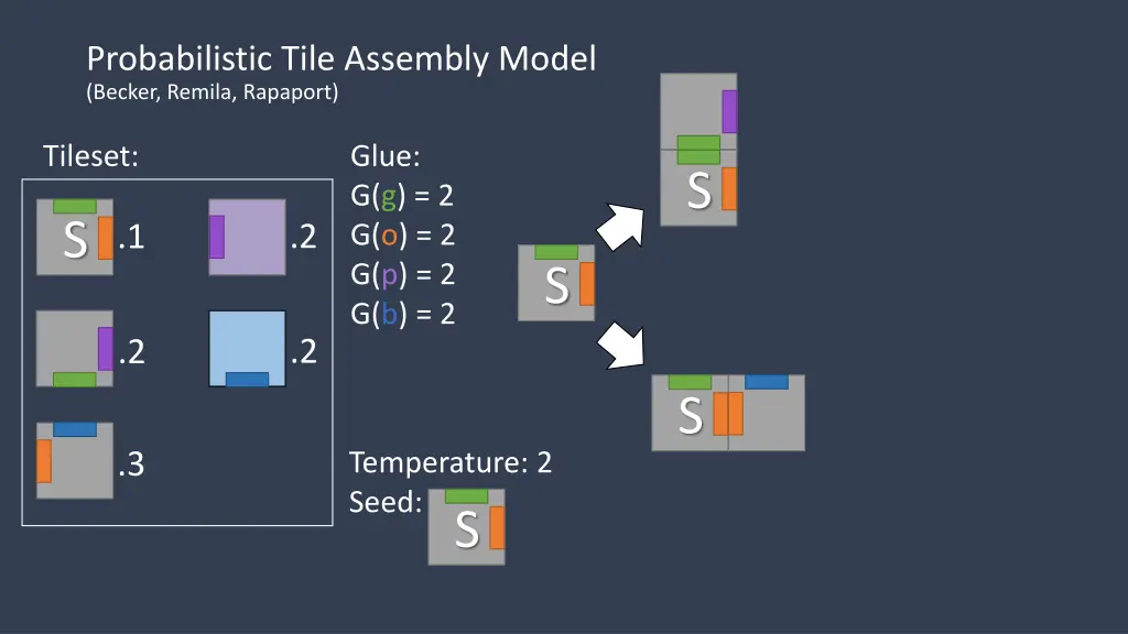 probabilistic tile assembly model becker remila 2