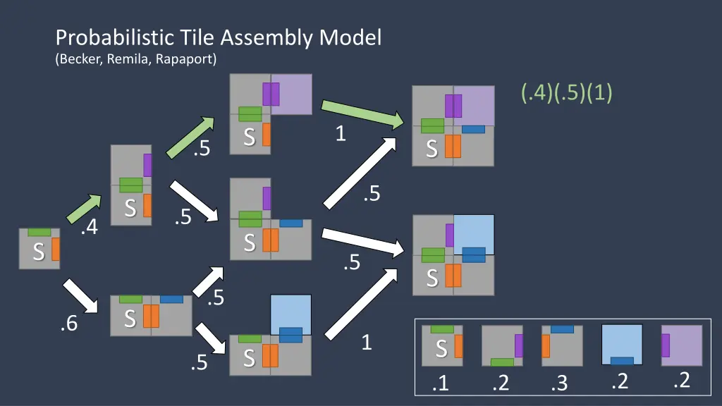 probabilistic tile assembly model becker remila 8