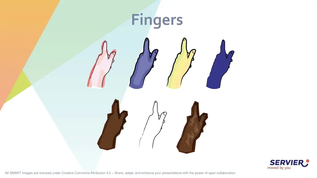 fingers