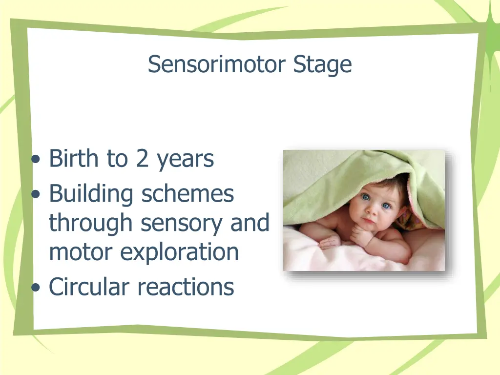 sensorimotor stage
