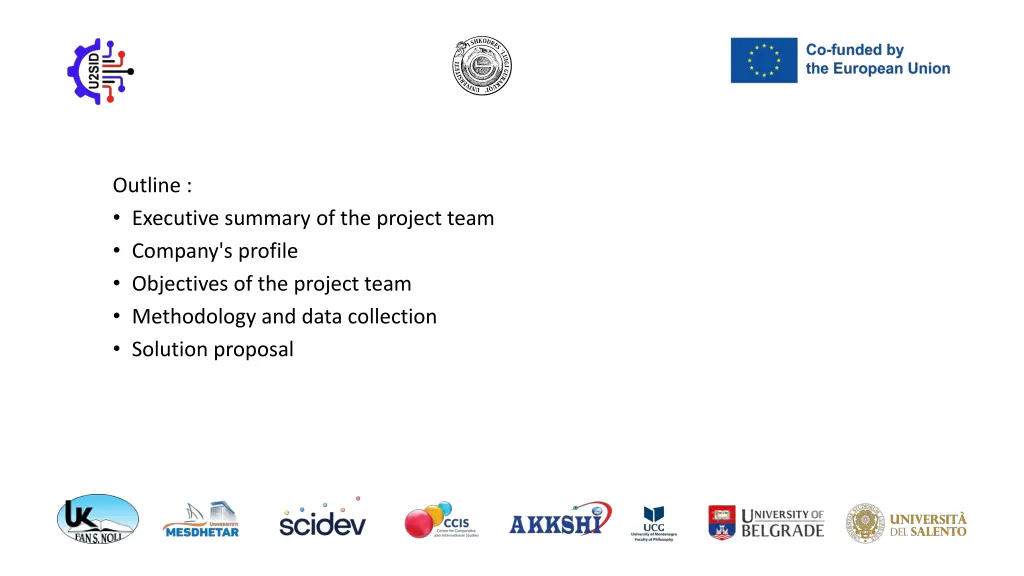 outline executive summary of the project team