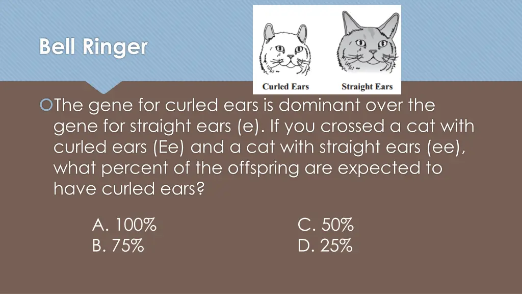 bell ringer