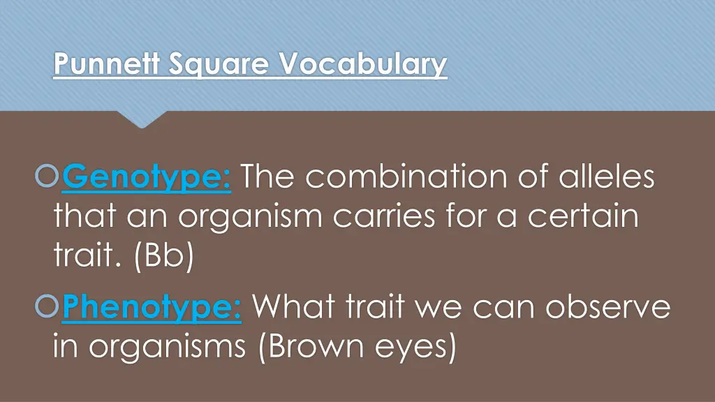 punnett square vocabulary