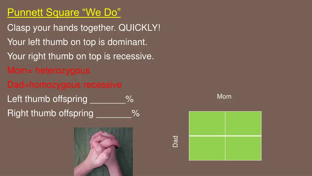 punnett square we do clasp your hands together