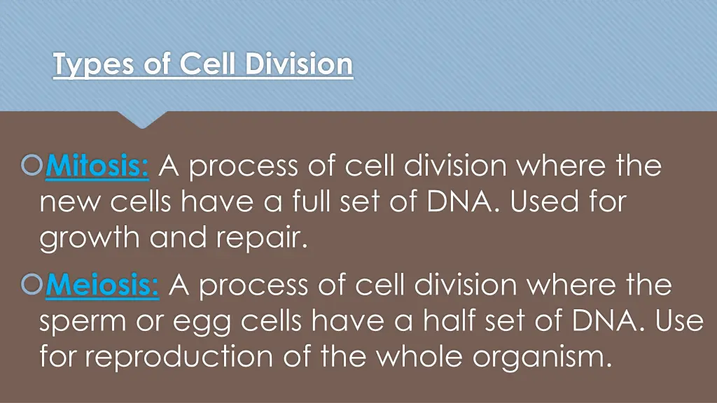 types of cell division