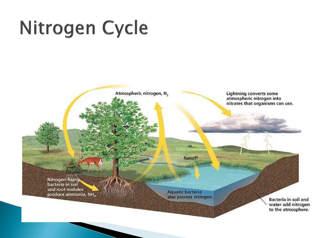 slide32