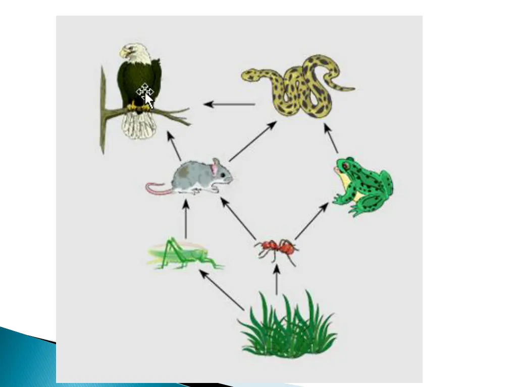 slide39