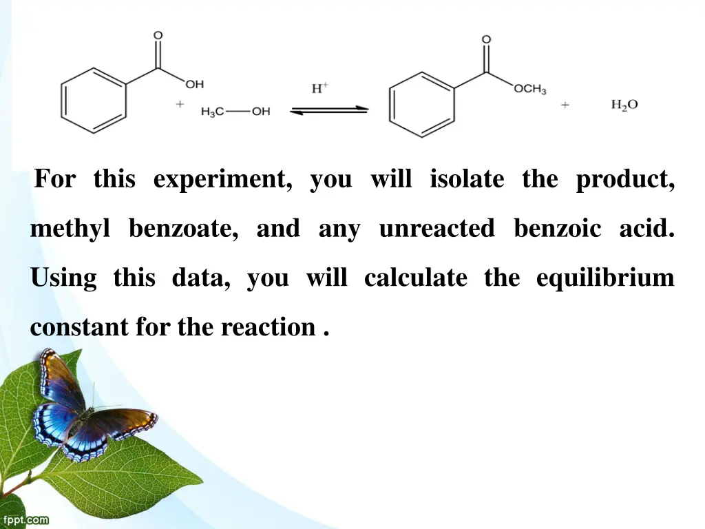 for this experiment you will isolate the product