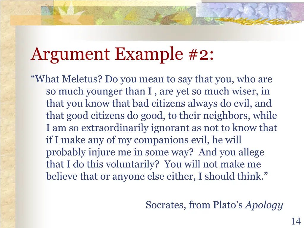 argument example 2