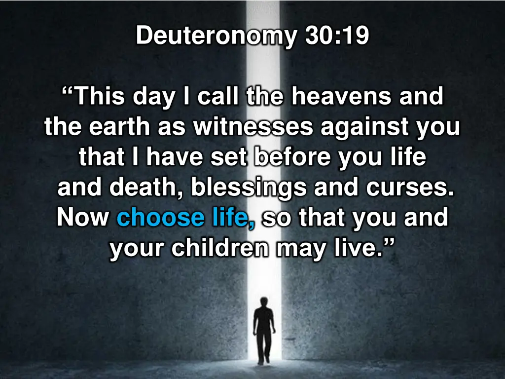 deuteronomy 30 19