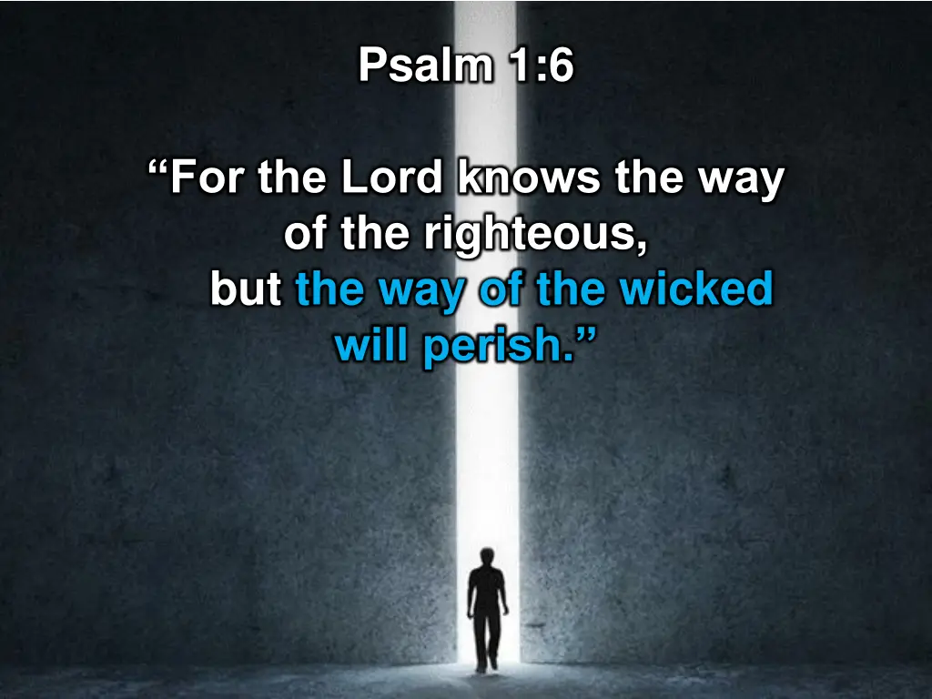 psalm 1 6