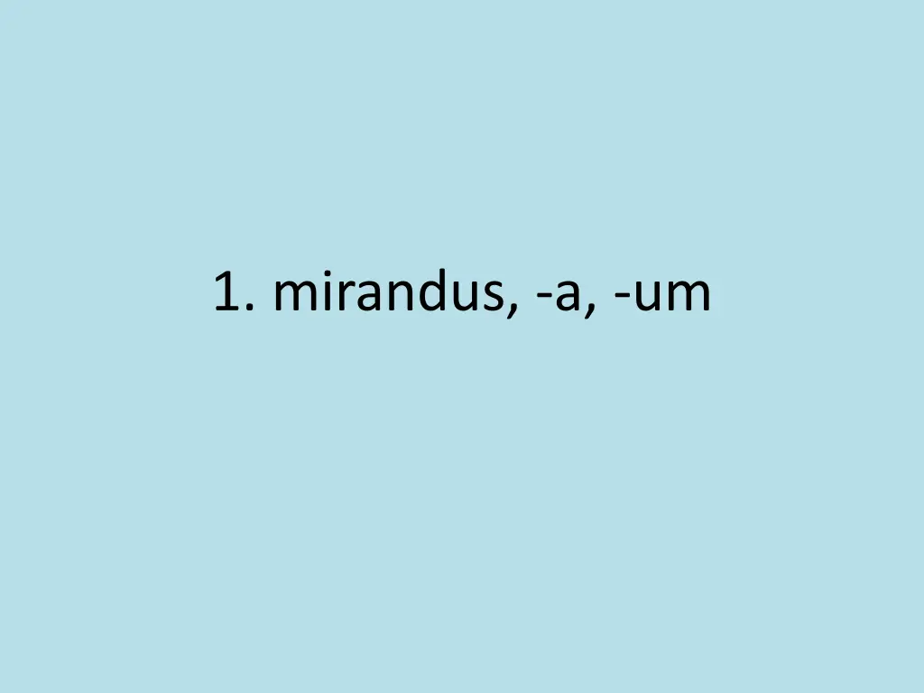 1 mirandus a um