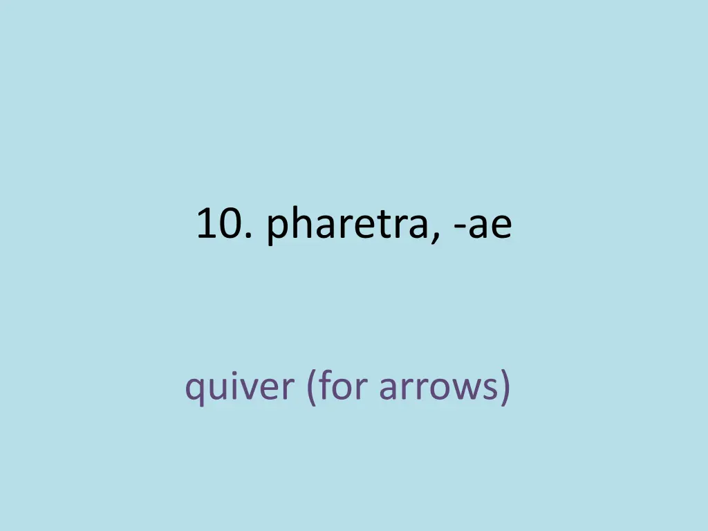 10 pharetra ae 1