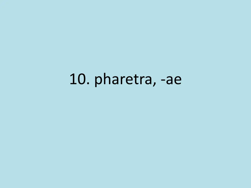 10 pharetra ae