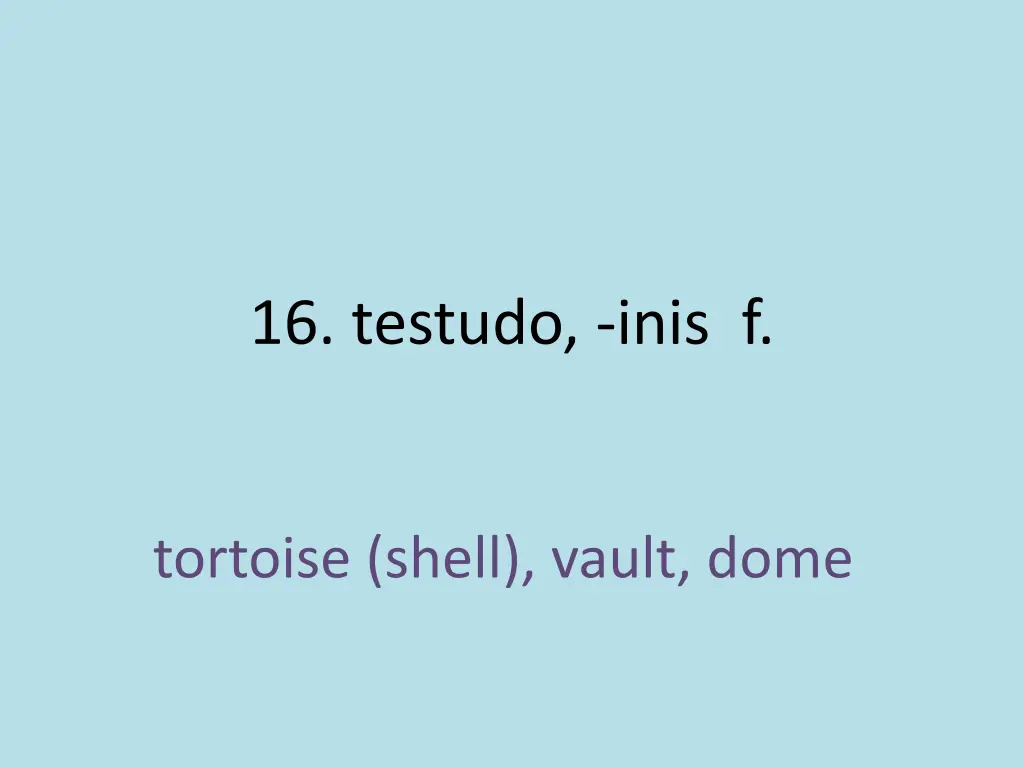 16 testudo inis f 1
