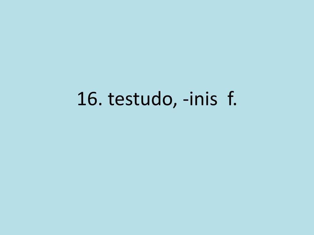 16 testudo inis f