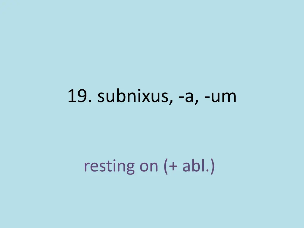 19 subnixus a um 1