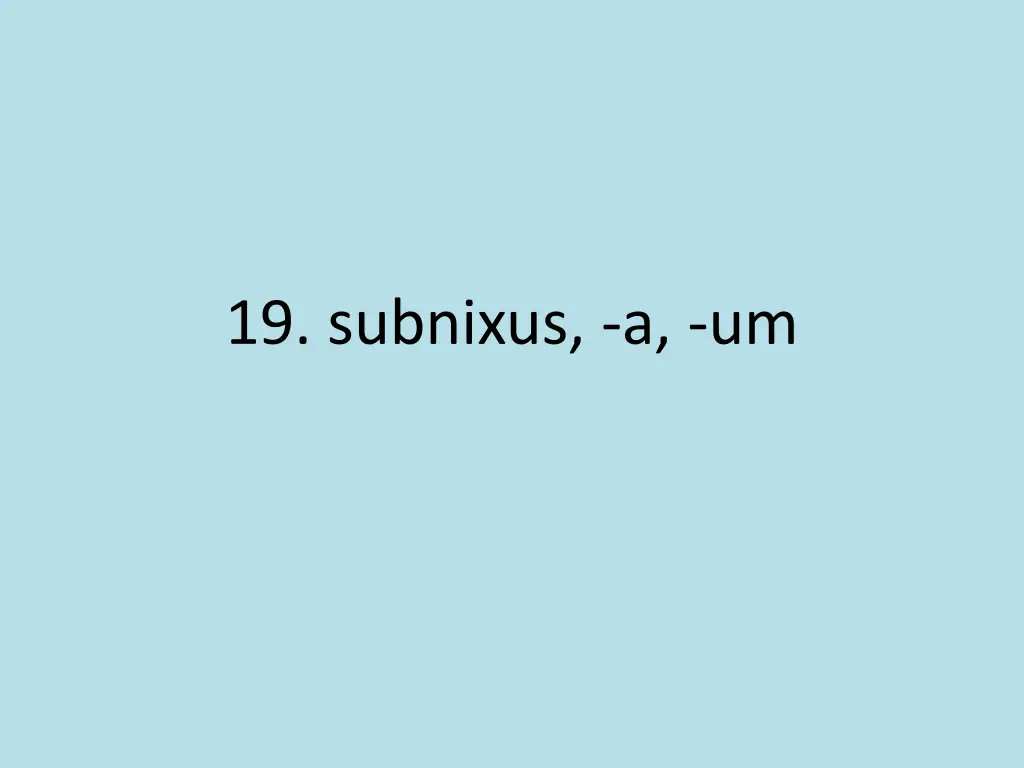 19 subnixus a um