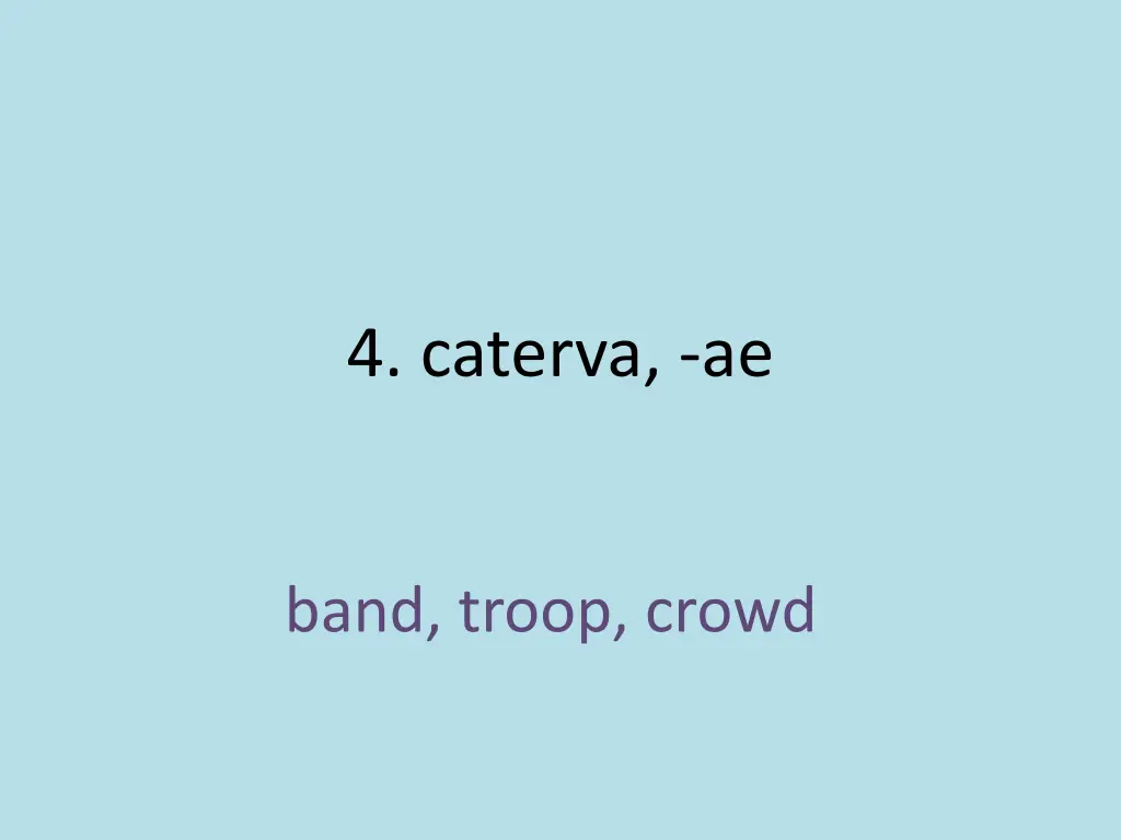 4 caterva ae 1