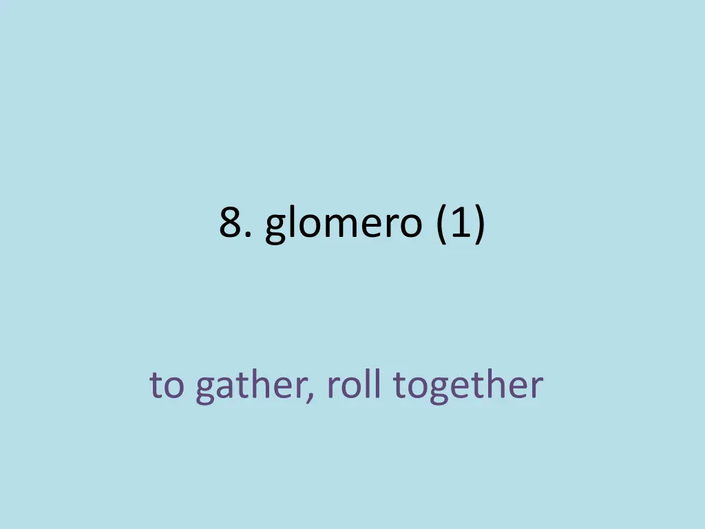 8 glomero 1 1