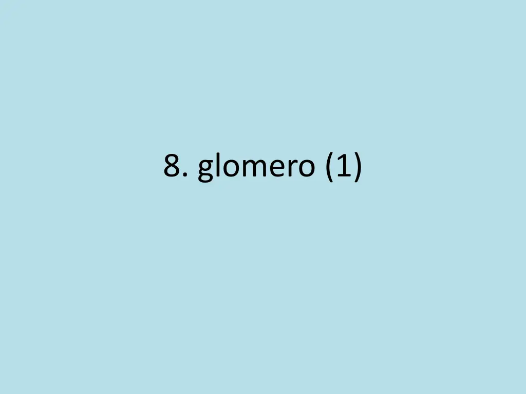 8 glomero 1