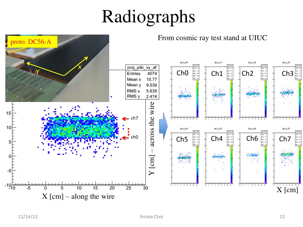 radiographs