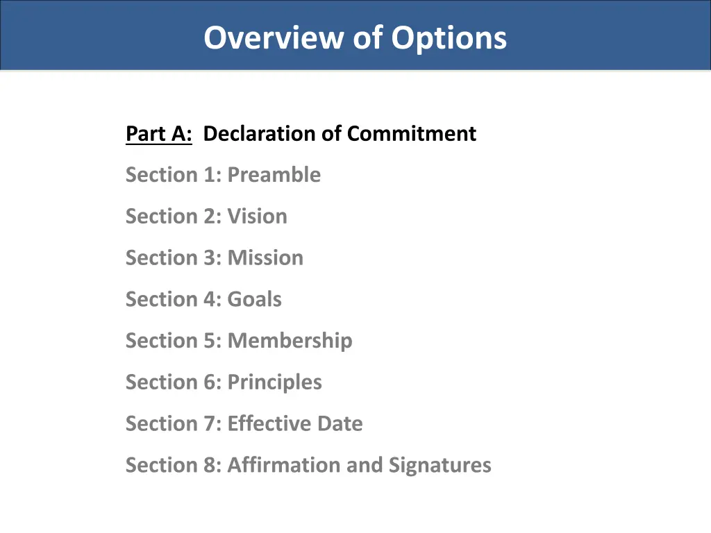 overview of options 1