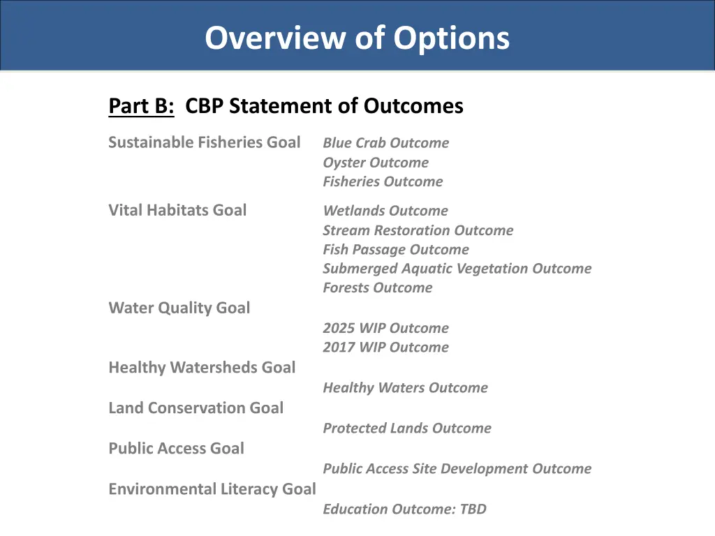 overview of options 3