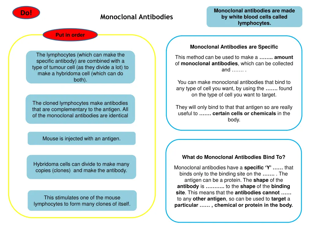 monoclonal antibodies are made by white blood 1