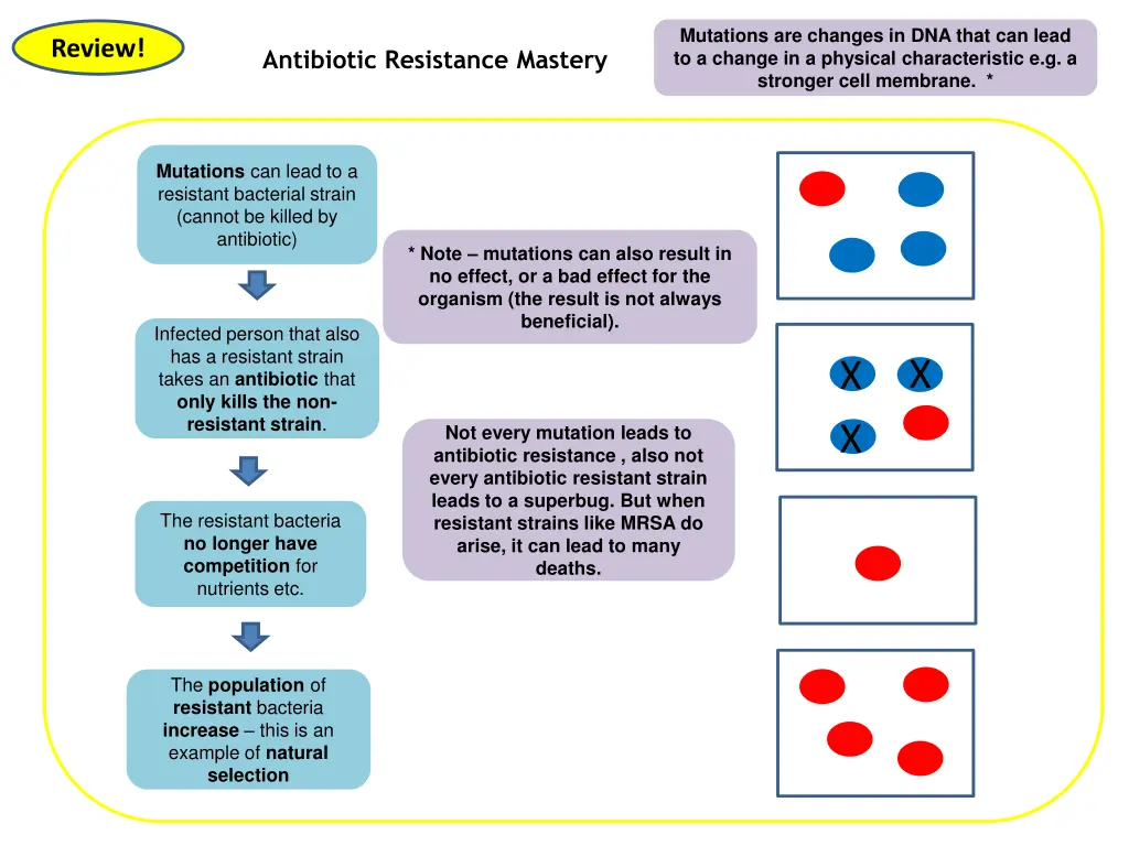 mutations are changes in dna that can lead