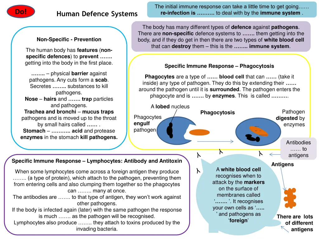 the initial immune response can take a little 1