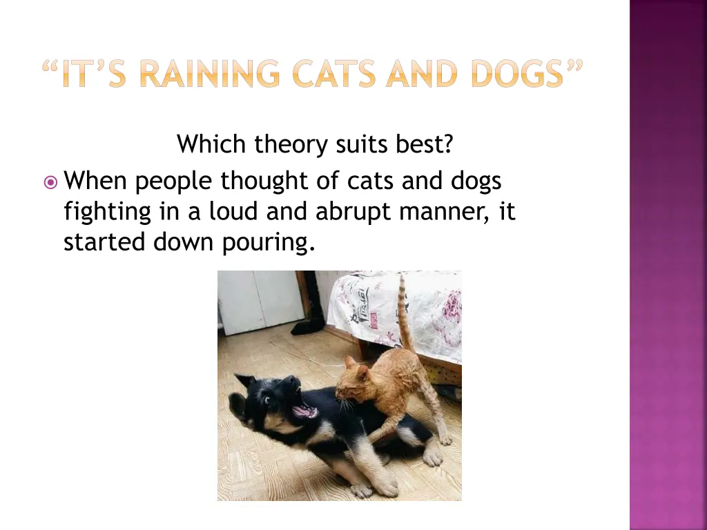it s raining cats and dogs 1