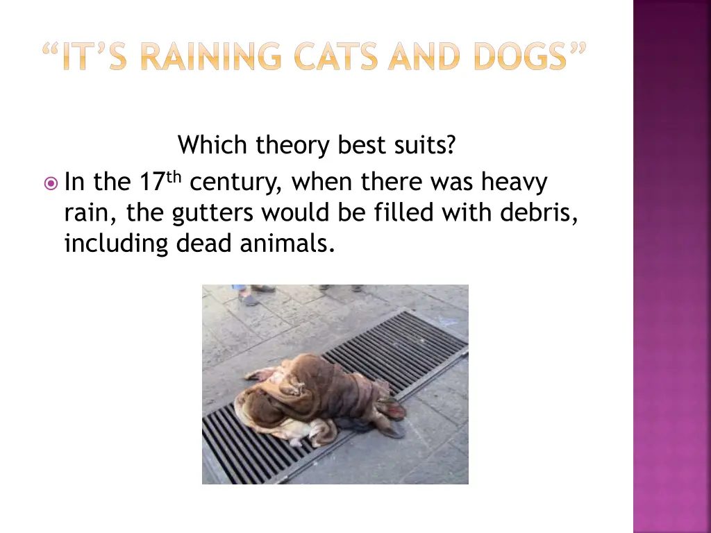 it s raining cats and dogs 2