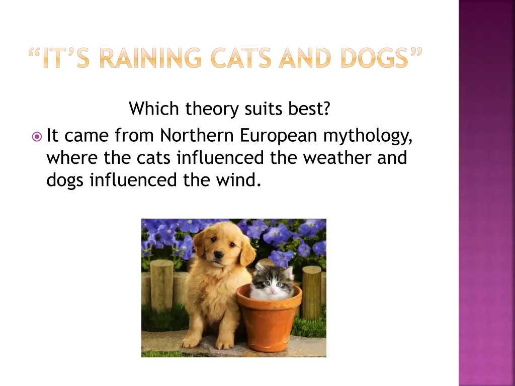 it s raining cats and dogs