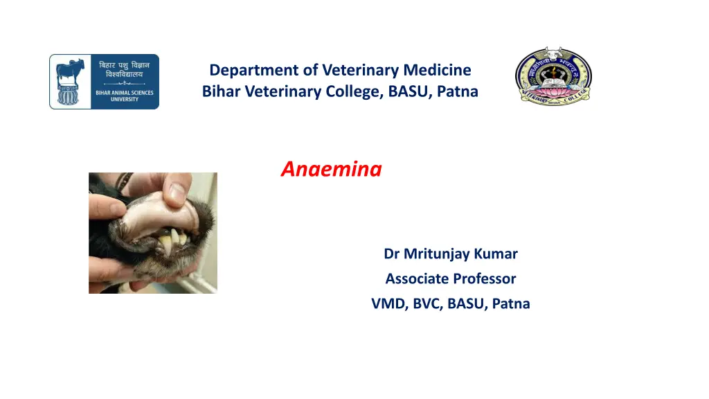 department of veterinary medicine bihar