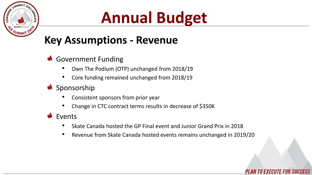 annual budget 3