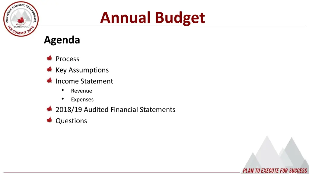 annual budget