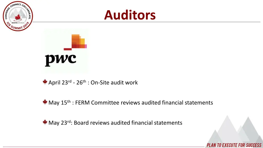 auditors