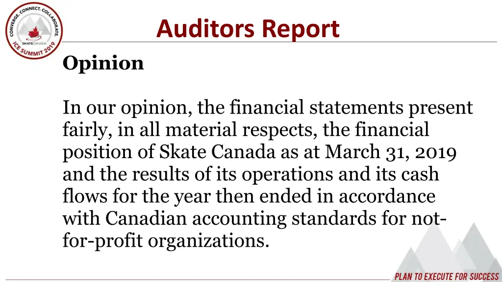 auditors report