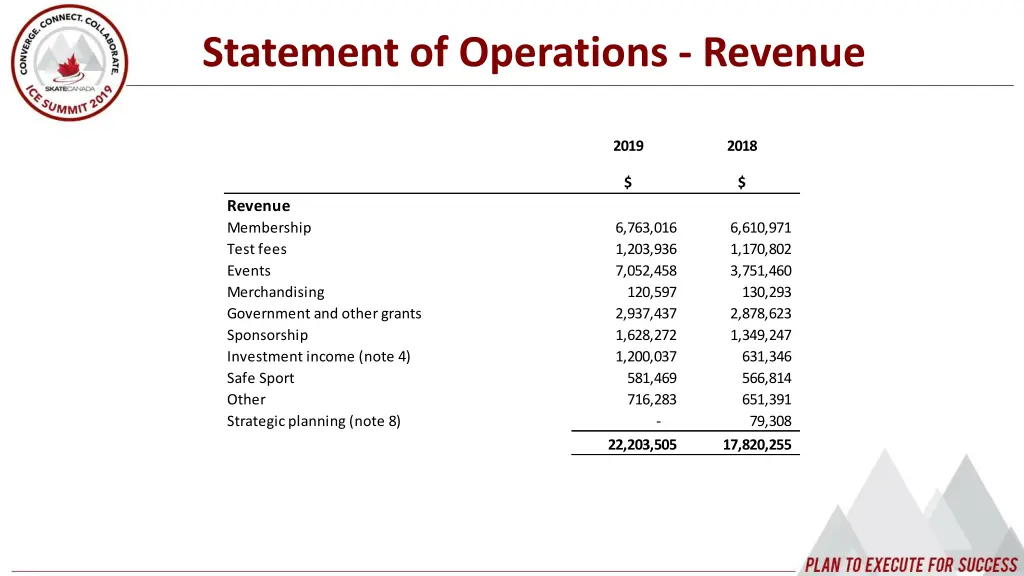 statement of operations revenue