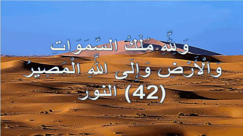 slide29