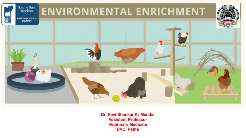 environmental enrichment