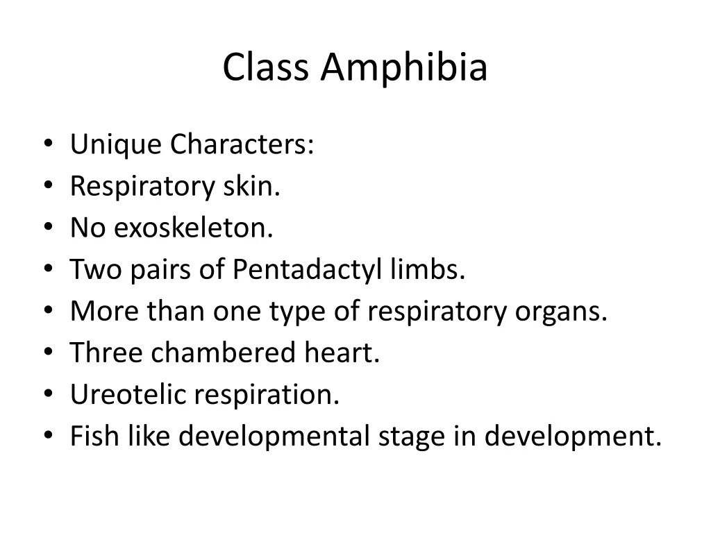 class amphibia