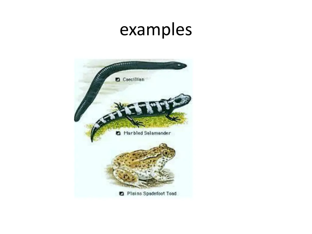 examples 1