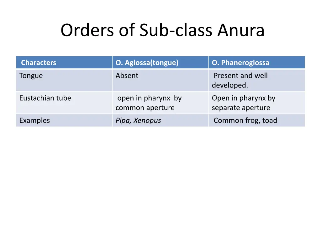 orders of sub class anura